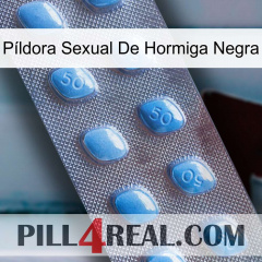 Píldora Sexual De Hormiga Negra viagra3